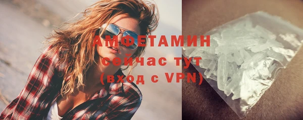 гидра Вязьма