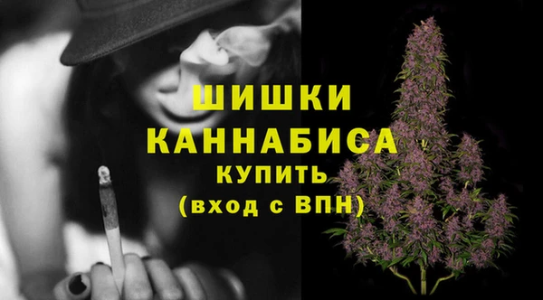 стаф Инта