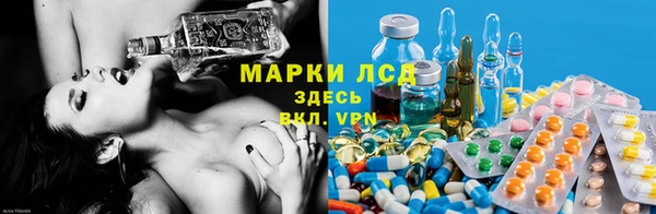 эйфоретик Вяземский