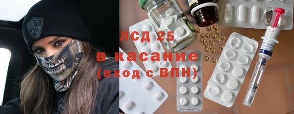 гидра Вязьма