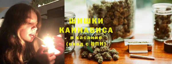 МДПВ Горно-Алтайск