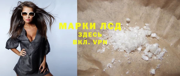 ПСИЛОЦИБИНОВЫЕ ГРИБЫ Вязники