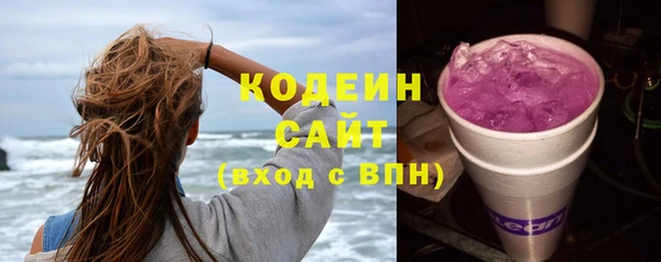 стаф Инта