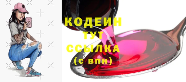 эйфоретик Вяземский