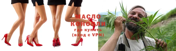 эйфоретик Вяземский