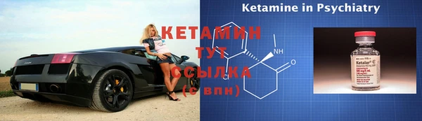 гидра Вязьма