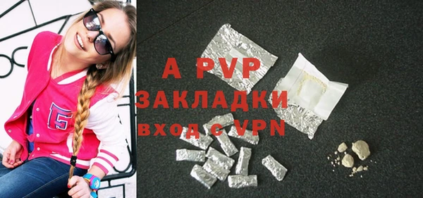 ПСИЛОЦИБИНОВЫЕ ГРИБЫ Вязники