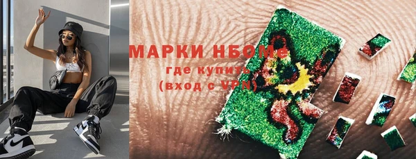 гидра Вязьма