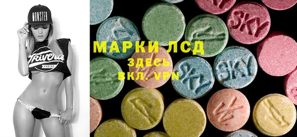 эйфоретик Вяземский