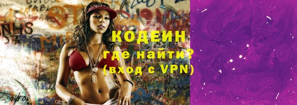 гидра Вязьма