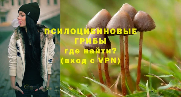 прущая мука Инсар
