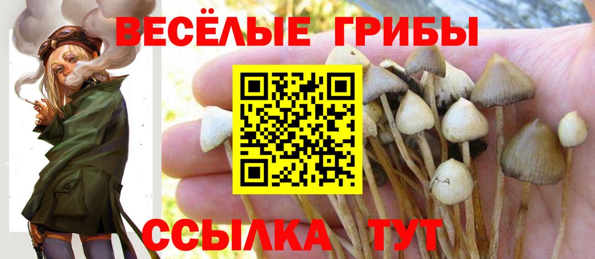 Псилоцибиновые грибы MAGIC MUSHROOMS  что такое наркотик  Псилоцибиновые грибы MAGIC MUSHROOMS  Глазов  Вход с VPN 