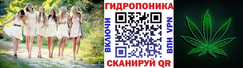 Шишки марихуана гибрид  Глазов 