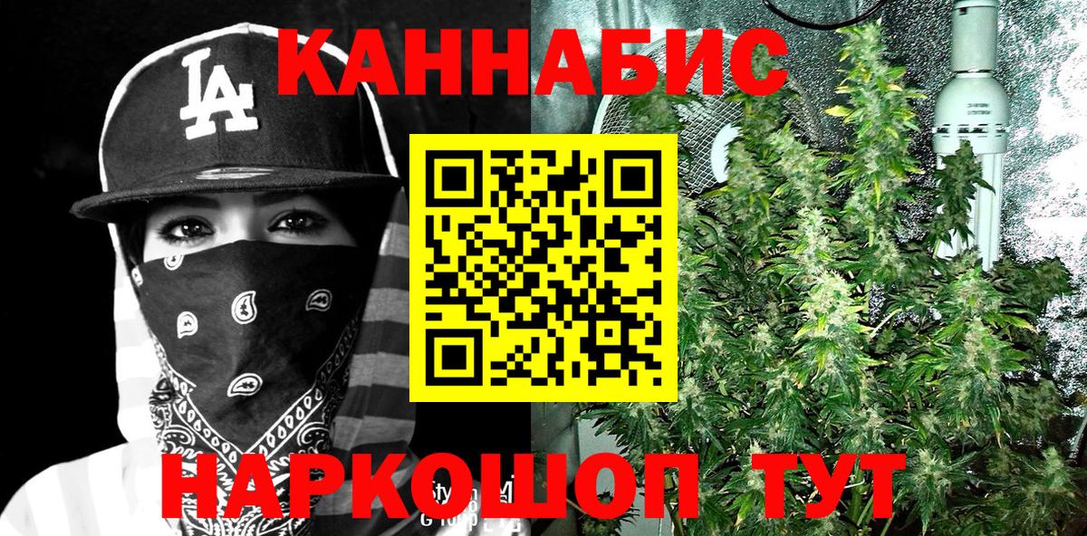Бошки Шишки MAZAR  Бошки марихуана гибрид  Конопля конопля  Глазов  Вход с VPN  Конопля VHQ 
